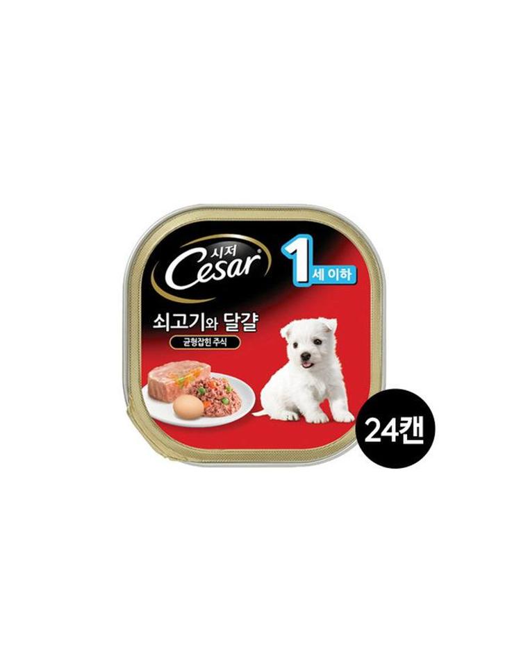 시저 강아지캔 1세이하 쇠고기와 달걀 100G 24캔