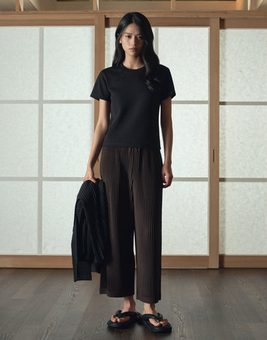 Yoyogi Pleats Wide Fit Pants (Brown)