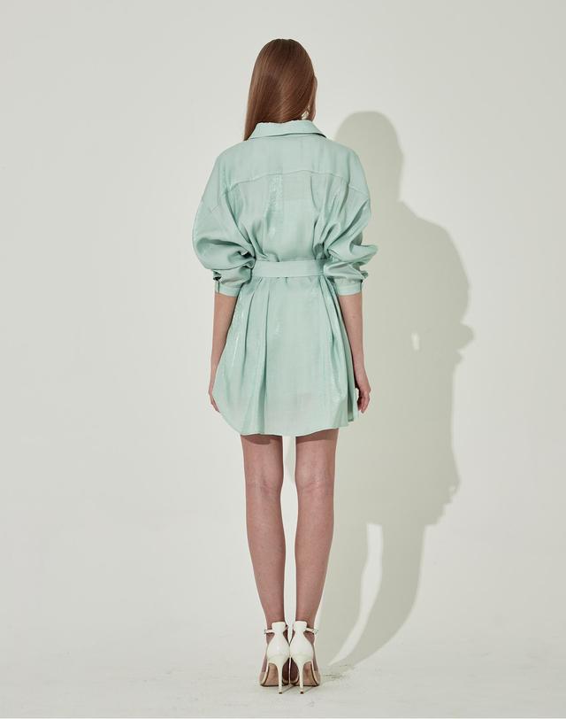 채뉴욕 The Boss Long Silk Dress [Mint] 착용컷