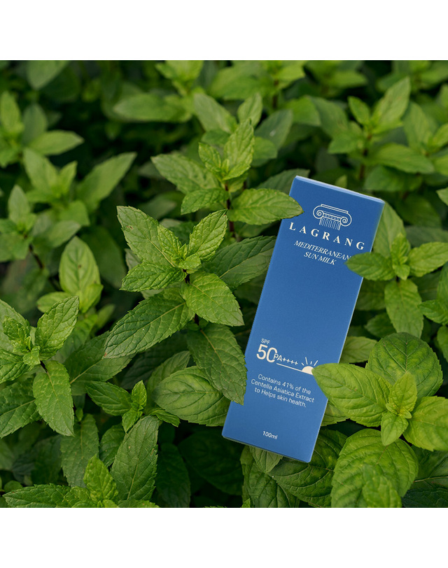 라그랑 저자극 무기자차 UV 온가족 대용량 선크림/선밀크 SPF50+PA++++ 100ml 2개입 착용컷