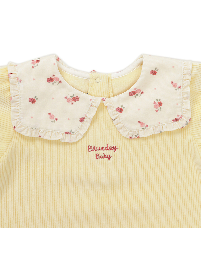 블루독베이비 [블루독베이비]빅카라 골벨로아 상하세트 (45C13-610-11) 착용컷