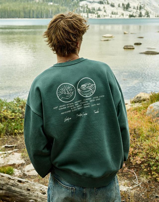 플루크 내셔널 마운틴 피그먼트 맨투맨 FMT755 / 3color 착용컷