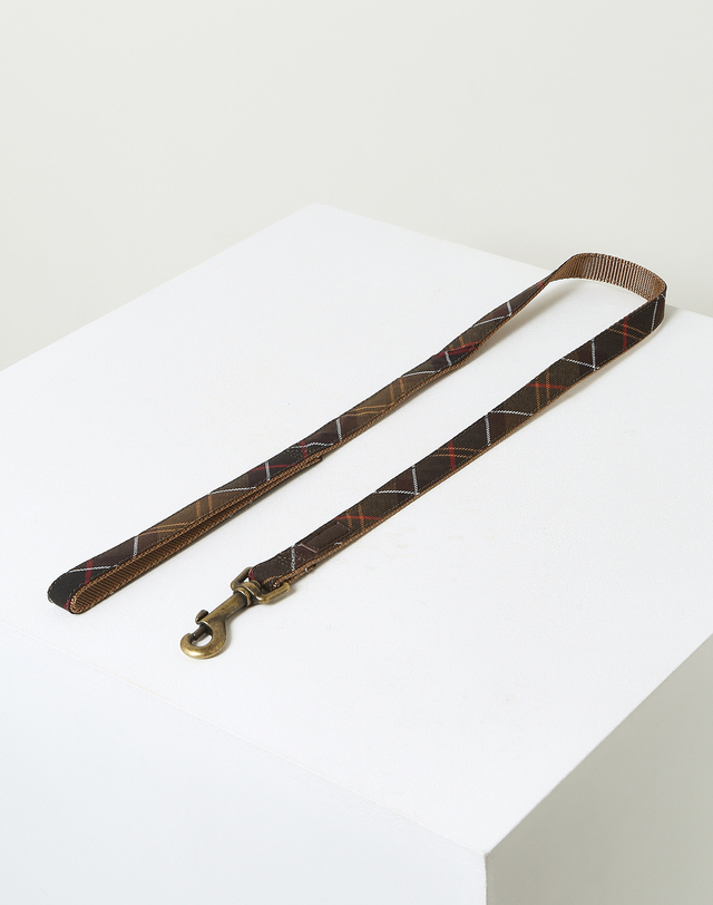 바버 브라운 타탄 패턴 웨빙 애완 Lead MULTI COLOR 착용컷