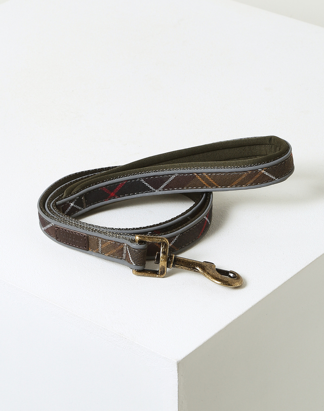 바버 카키 Reflective Tartan Dog 리드 MULTI COLOR 착용컷