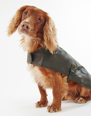 [Barbour Dog] 올리브 왁스 도그 코트