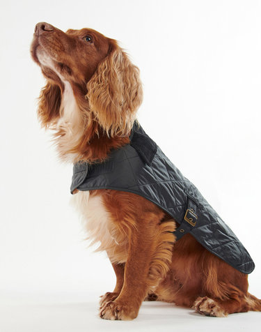 [Barbour Dog] 블랙 퀼팅 애견 코트