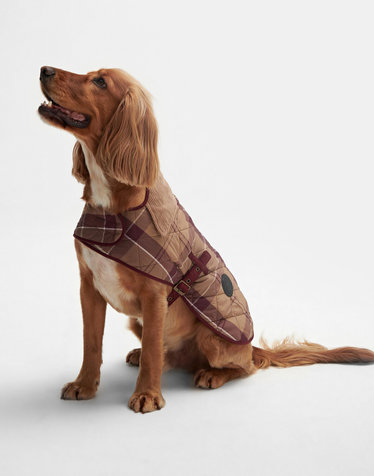 [Barbour Dog] 브라운 타탄 패턴 애견 코트