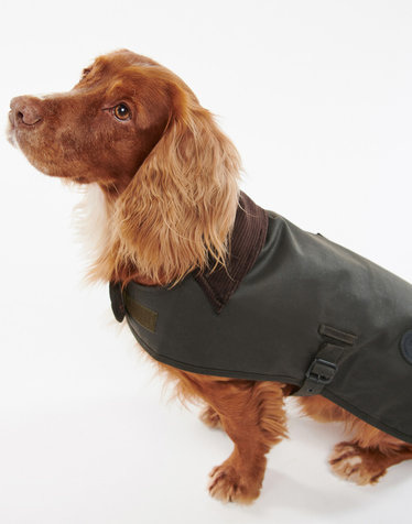 [Barbour Dog] 올리브 왁스 도그 코트