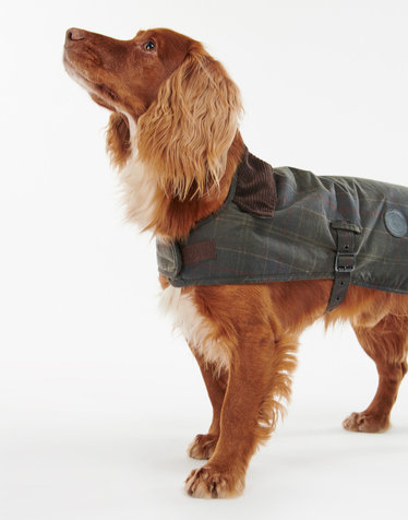 [Barbour Dog] 올리브 Tartan 왁스 도그 코트
