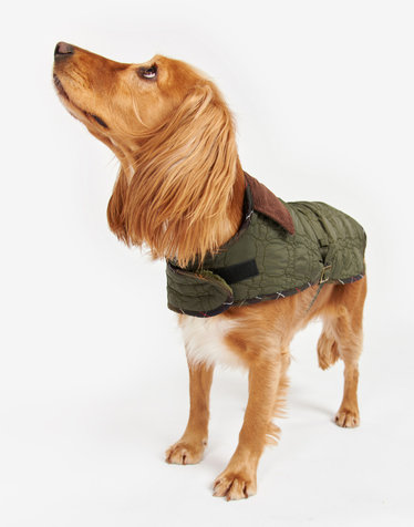[Barbour Dog] 올리브 Bone 퀼팅 애견 코트