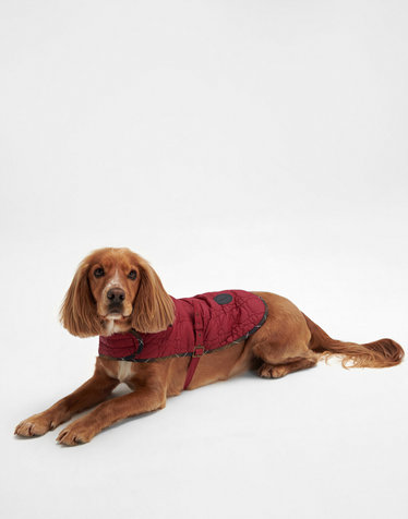 [Barbour Dog] 레드 Bone 퀼팅 애견 코트