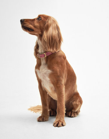 [Barbour Dog] 핑크 Leather 애견 칼라