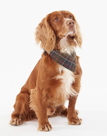 [Barbour Dog] 타탄 패턴 애견 반다나