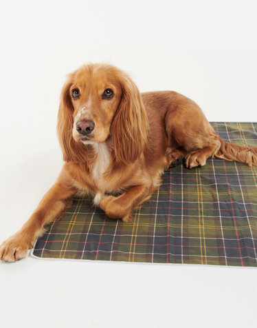 [Barbour Dog] 타탄 패턴 Quick Dry 애견 타월