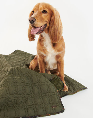 [Barbour Dog] 올리브 애견 Bone 퀼팅 담요
