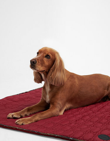 [Barbour Dog] 레드 애견 Bone 퀼팅 담요