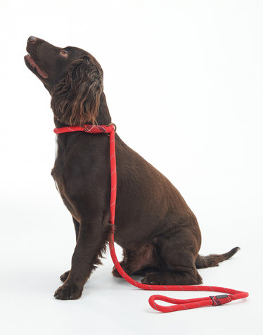 [Barbour Dog] 레드 애견 Reflective Slip 리드