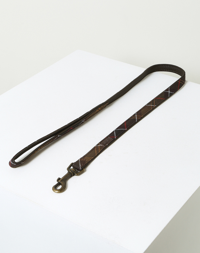 바버 브라운 타탄 패턴 애완 Lead MULTI COLOR 착용컷
