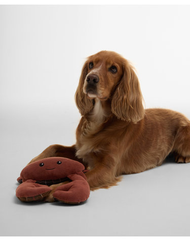 도그 Crab 토이