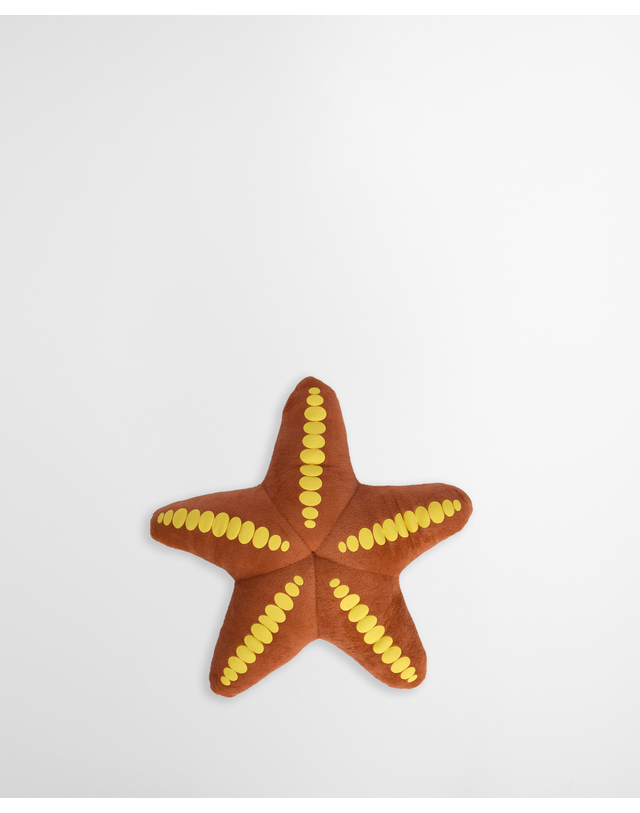 바버 도그 Starfish 토이 MULTI COLOR 착용컷