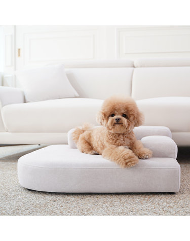 마루이 메이트 조야 아쿠아패브릭 강아지 고양이 반려동물 펫소파 펫베드 L