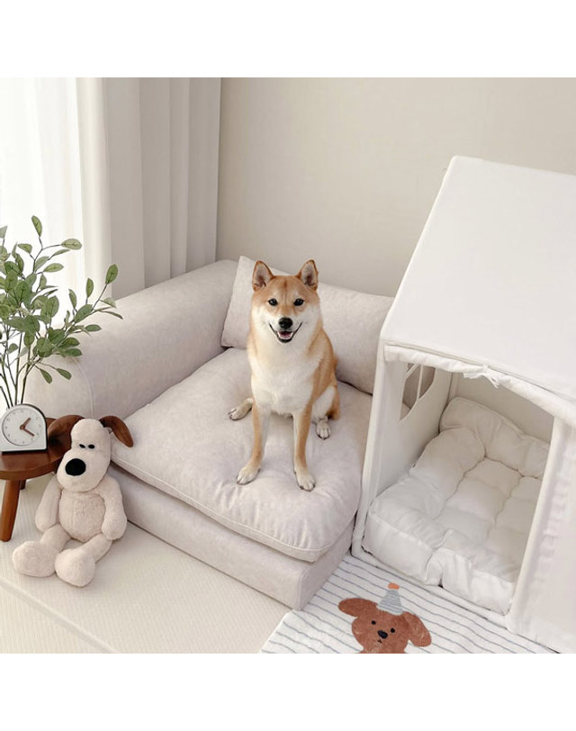 마루이 마루이 메이트 와이드 코너형 조야 강아지 고양이 반려동물 펫소파 펫베드 착용컷