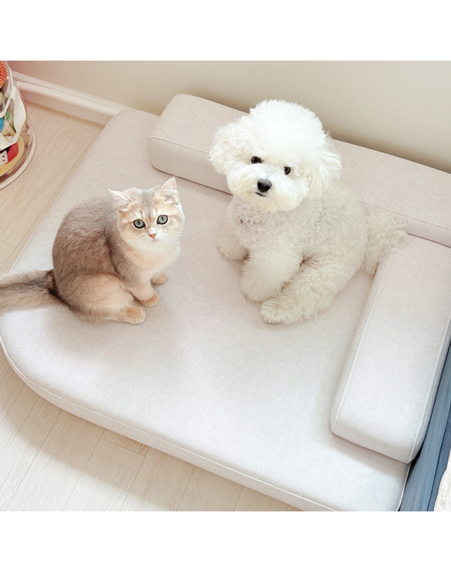 모아이 마루이 메이트 아쿠아텍스 강아지 고양이 반려동물 펫소파 펫베드 XL 착용컷