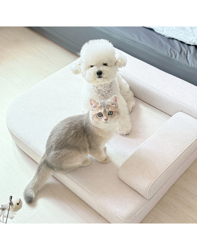 모아이 마루이 메이트 아쿠아텍스 강아지 고양이 반려동물 펫소파 펫베드 XL 착용컷
