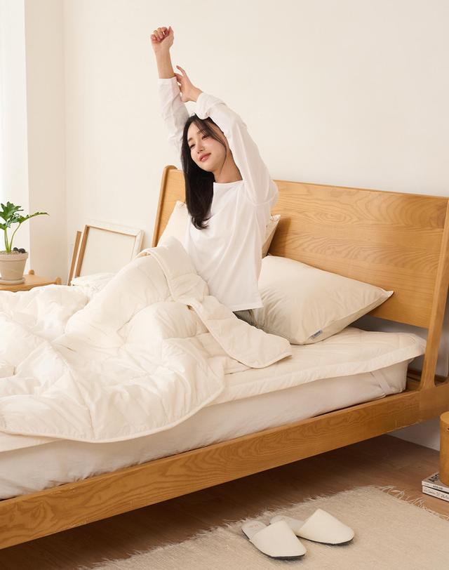 아망떼 뉴질랜드 양모 100% 60수 고밀도 순면 침대패드 SS/Q/K 착용컷