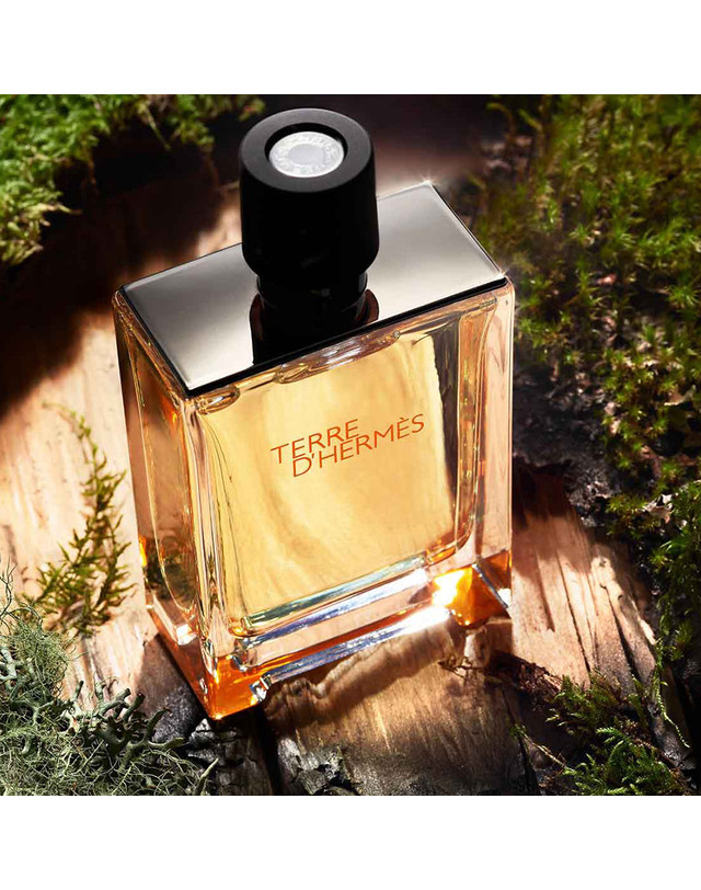 테르메스마린 에르메스 떼르 데르메스 EDT 100ml [선물포장가능] 착용컷