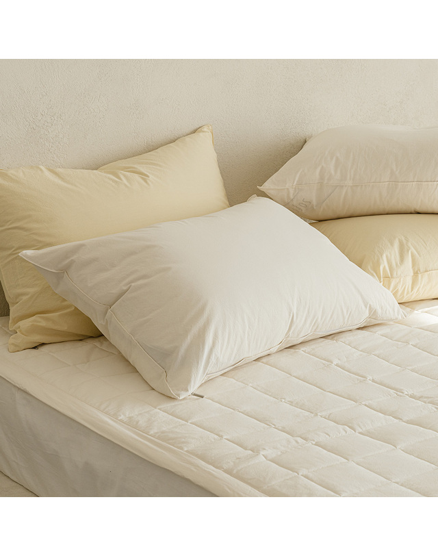 소프라움앤 [소프라움앤] 데일리코튼 60수 바이오워싱 베개커버 50X70(8컬러) 착용컷
