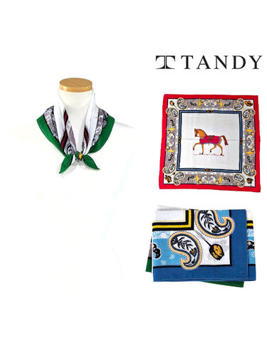 [탠디] TANDY 홀스 페이즐 손수건 스카프(케이스포장)