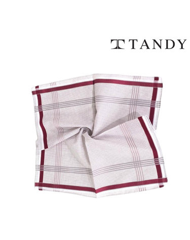[탠디] TANDY 브리즈 체크 손수건 스카프