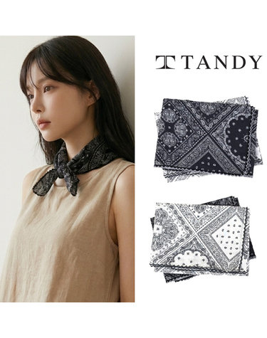 [탠디] TANDY 패턴페즐리 손수건 스카프