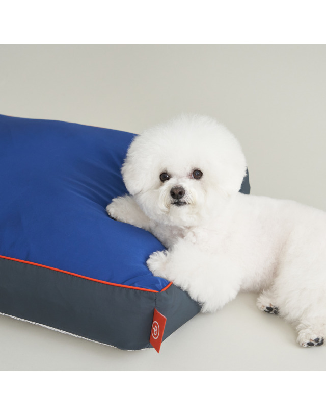 보웰 뜯김없는 알러지케어 방수 강아지방석 고양이 애견방석 쿠션 (솜포함) 착용컷