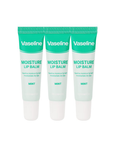 (3개)푸드어홀릭 바세린 모이스처 립밤 민트향 12ml