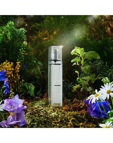 (무료체험분 증정 무료반품) 향수 Universo Garden Angels 7 ARCANGELES Perfume Emocional 50ml