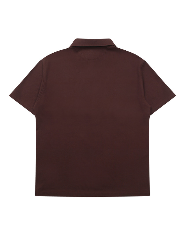 소루 [Solew] PK Silket 1-Button Polo Shirt_Brown 착용컷