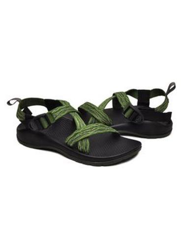 차코 Z/1 ECOTREAD 키즈 BRANCHING TWO J180227