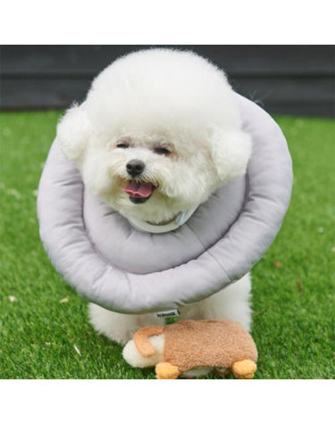 [반려생각] UFO 넥카라 S