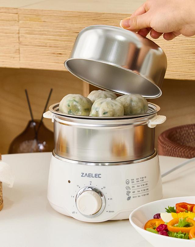 자일렉 [자일렉] 올스텐 2단 계란찜기/호빵/만두/고구마 ZL-253G 착용컷