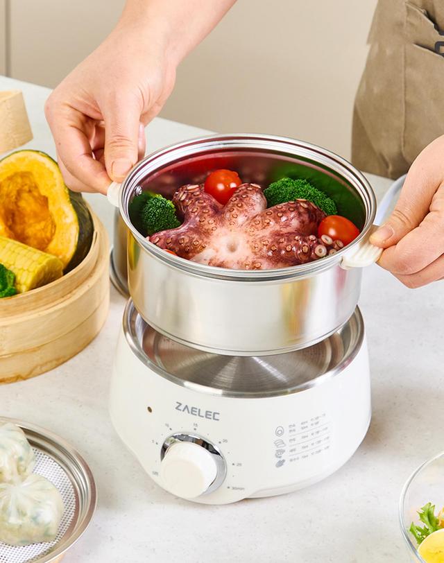 자일렉 [자일렉] 올스텐 2단 계란찜기/호빵/만두/고구마 ZL-253G 착용컷