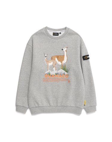 [최대 20% 쿠폰 혜택] 내셔널지오그래픽 K224USW950 키즈 동물 아트웍 기모 맨투맨 MELANGE GREY