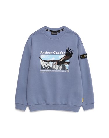 [최대 20% 쿠폰 혜택] 내셔널지오그래픽 K224USW950 동물 아트웍 기모 맨투맨 HARBOR BLUE