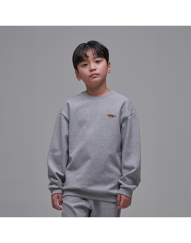 내셔널지오그래픽키즈 내셔널지오그래픽 키즈 K241UPB910 동물와펜 맨투맨 SET MGREY 착용컷