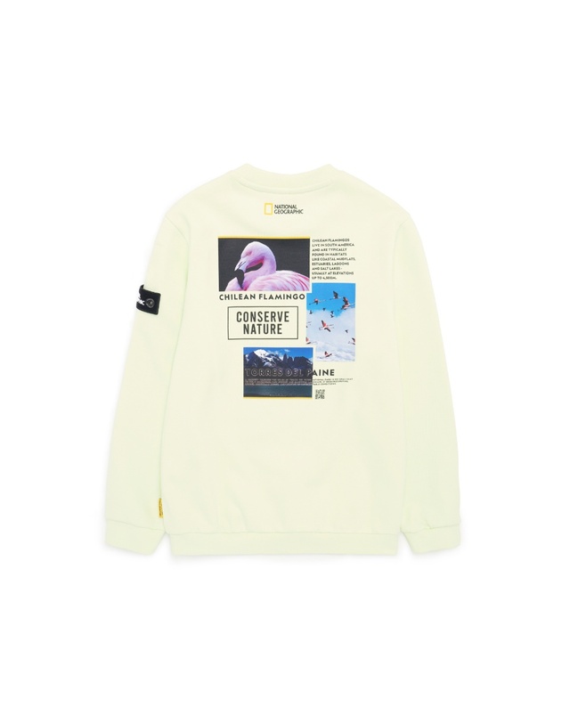 내셔널지오그래픽 키즈 내셔널지오그래픽키즈 K224USW940 컨셉 그래픽 맨투맨 티셔츠 2종택1 착용컷