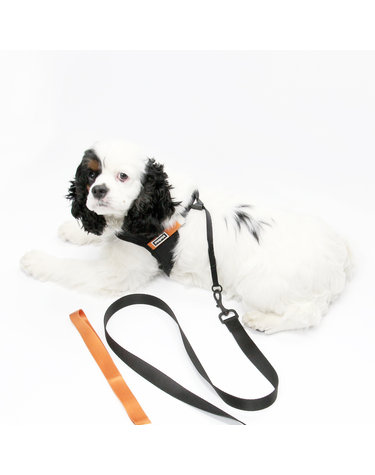 키니키니 KINI SIGNATURE LEASH-BLACK/ORANGE(리드줄)