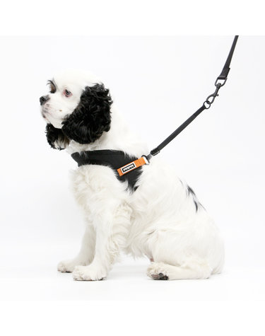 키니키니 KINI SIGNATURE HARNESS-BLACK/ORANGE(하네스)