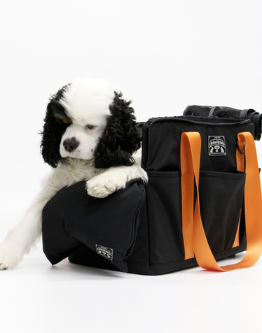 SIGNATURE CARRIER BAG-BLACK(캐리어백)