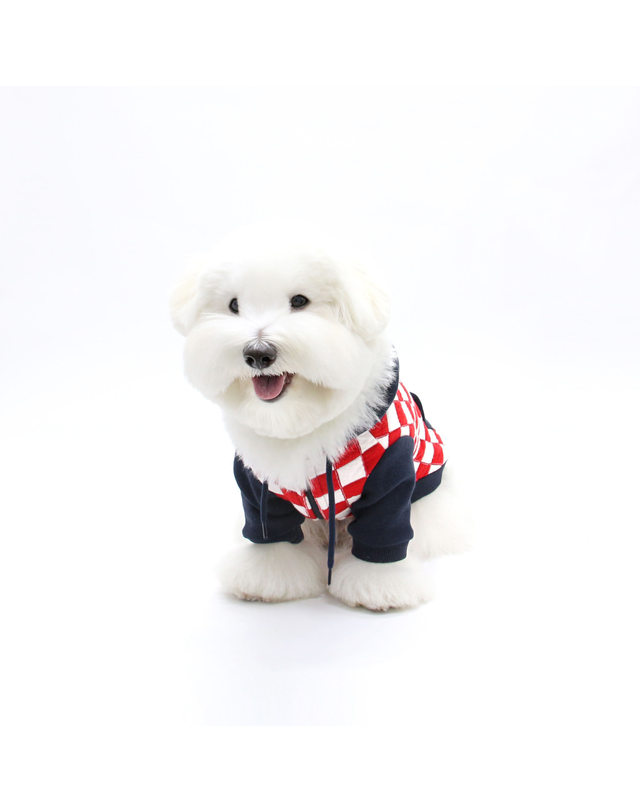 키니키니 CHECKERBOARD HOODIE ZIPUP-RED(후드집업) 착용컷